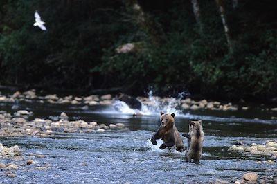 Voyage Vancouver et les Rocheuses