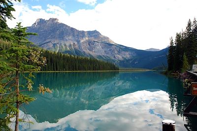 Voyage Alberta