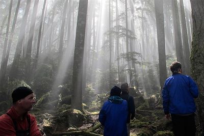 © Andrew Jones - Randonnée forestière - Colombie-Britannique - Canada Randonnée forestière - Colombie-Britannique - Canada