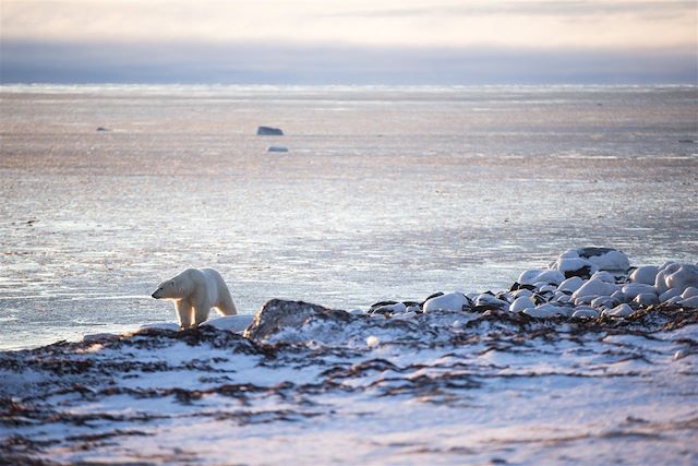 Voyage : Au cœur du passage du Nord-Ouest Voyage Au cœur du passage du Nord-Ouest