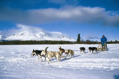 Traîneau à chiens Canada