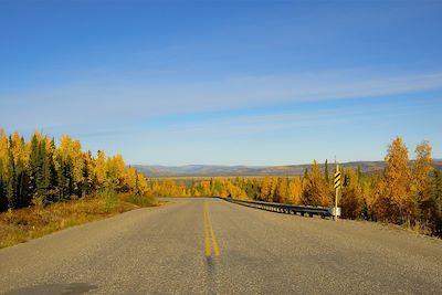 © Nathalie Neyrolles - Toundra - Yukon - Canada Toundra - Yukon - Canada