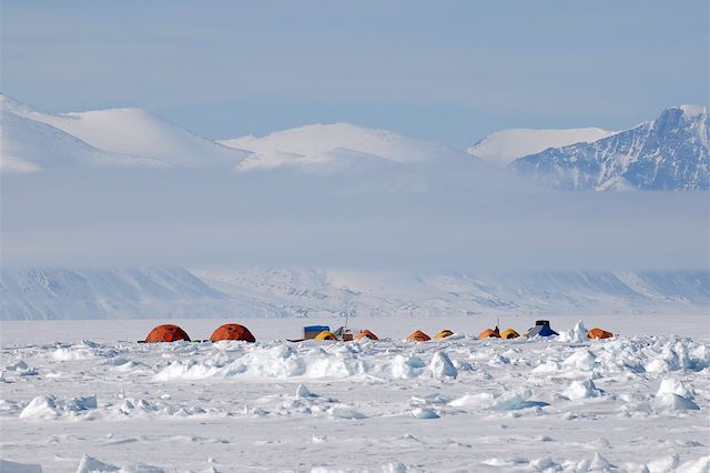 Voyage A la découverte des narvals