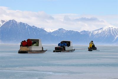 Voyage A la découverte des narvals 1