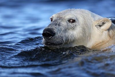 Voyage  Manitoba & baie d'Hudson