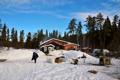 Voyage Traîneau à chiens dans les forêts du Québec 1