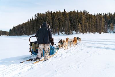 Expédition en chiens de traîneau - Québec - Canada
