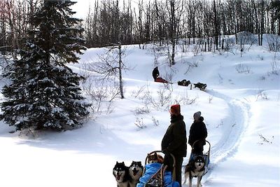 Raid itinérant en traîneau à chiens - Saint-Edmond-les-Plaines - Lac Saint-Jean - Québec - Canada