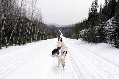 Expédition en chiens de traîneau - Québec - Canada