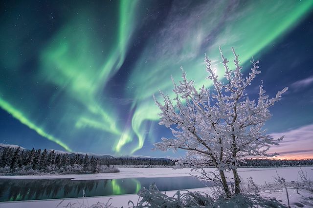 Voyage : Le Yukon, au nord de l'ordinaire Voyage Le Yukon, au nord de l'ordinaire