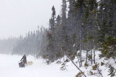 Raid en traîneau à chiens - Québec - Canada