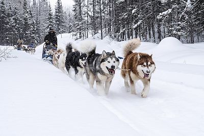 © Hugo Villegas - Expédition en chiens de traîneau - Québec - Canada Expédition en chiens de traîneau - Québec - Canada