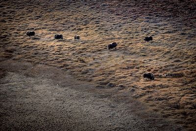 © Mads Pihl/Visit Greenland - Kangerlussuaq - Qeqqata - Groenland Kangerlussuaq - Qeqqata - Groenland