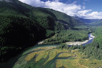 Voyage Ours et baleines de l’ile de Vancouver 1