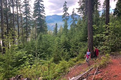 Strathcona Park - Vancouver Island - Canada