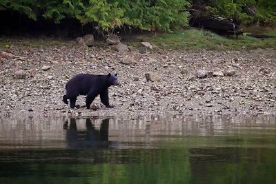 Ucluelet - Vancouver Island - Canada