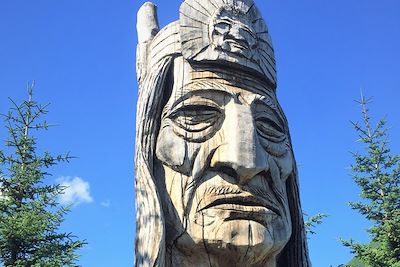 © Didier Forest - Totem amérindien - Haïda Gwaïi - Canada Totem amérindien - Haïda Gwaïi - Canada