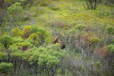 © Augustin Vuillard - Yukon - Canada Yukon - Canada