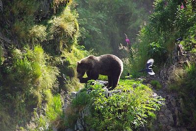 Yukon - Canada