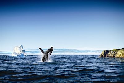 © Newfoundland and Labrador Tourism/Commission canadienne du tourisme - Parc national du Gros-Morne - Terre-Neuve-et-Labrador - Canada Parc national du Gros-Morne - Terre-Neuve-et-Labrador - Canada