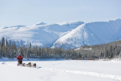 Traîneau à chiens Canada