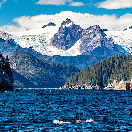 Découverte Canada Yukon