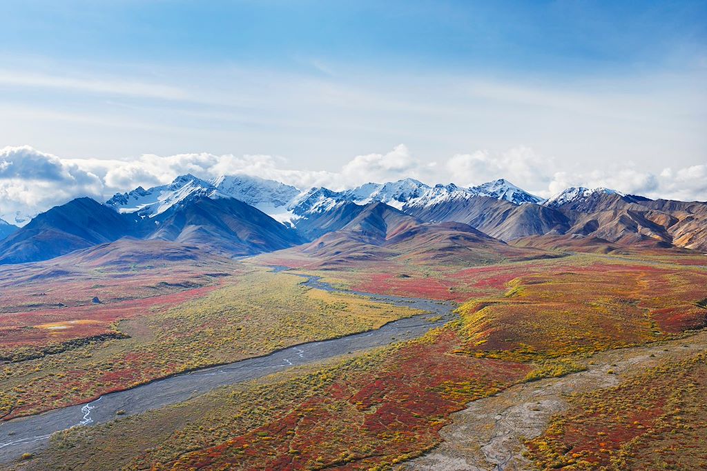 Image Observation ours bruns grizzlis - Yukon – Randonnée Alaska