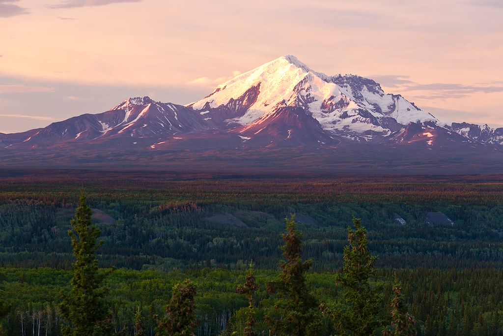 Image Observation ours bruns grizzlis - Yukon – Randonnée Alaska