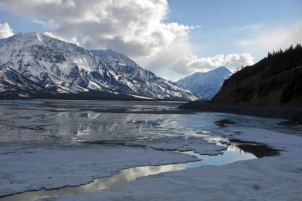 Image Observation ours bruns grizzlis - Yukon – Randonnée Alaska