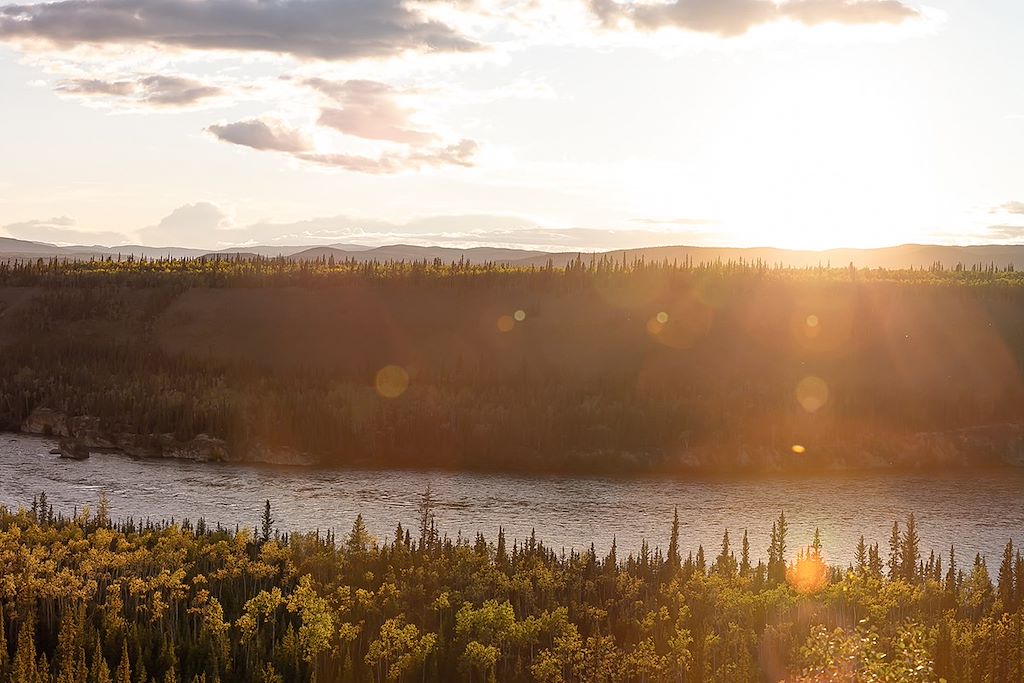 Image Observation ours bruns grizzlis - Yukon – Randonnée Alaska