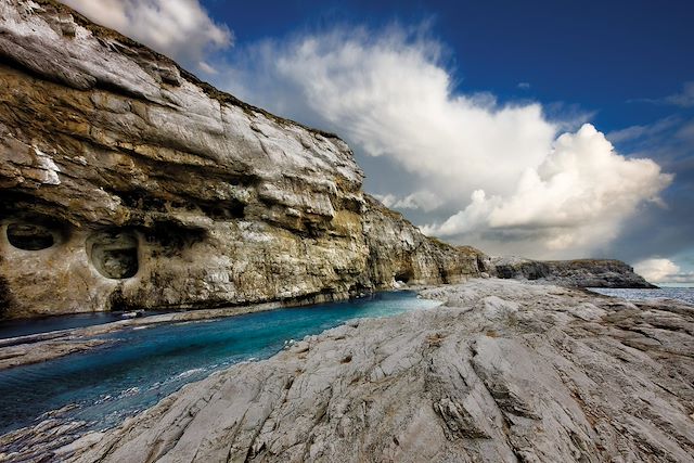 Observation animalière : Saint Laurent et l'île d'Anticosti Voyage Saint Laurent et l'île d'Anticosti