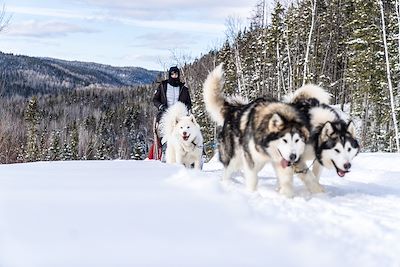 © Hugo Villegas / @huviprod - Expédition en chiens de traîneau - Québec - Canada Expédition en chiens de traîneau - Québec - Canada