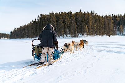 © Hugo Villegas / @huviprod - Expédition en chiens de traîneau - Québec - Canada Expédition en chiens de traîneau - Québec - Canada