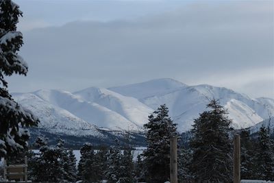 Paysage du Yykon - Canada