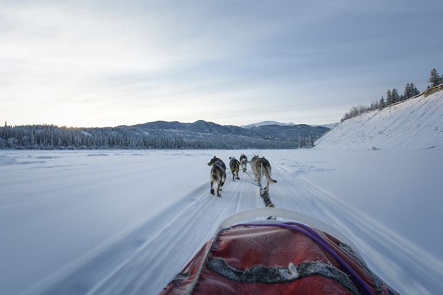Traîneau à chiens Canada Yukon