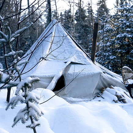 Traîneau à chiens Canada Québec