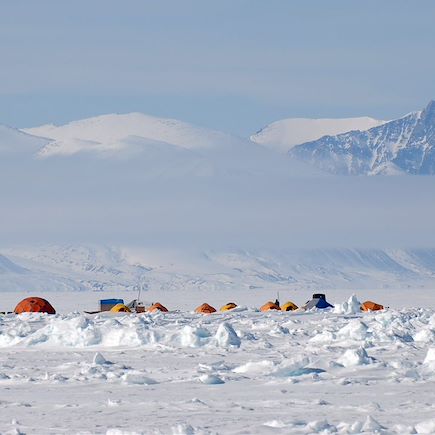 Observation animalière Canada Nunavut