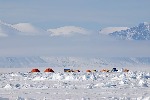 Observation animalière Canada Nunavut