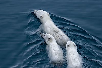 Nunavut - Arctic Bay - Canada