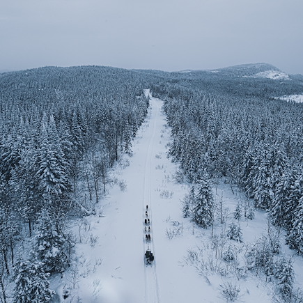 Traîneau à chiens Canada Québec