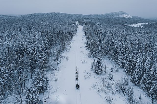 Traîneau à chiens Canada Québec
