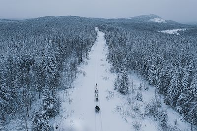 Traîneau à chiens dans les forêts du Québec - Canada