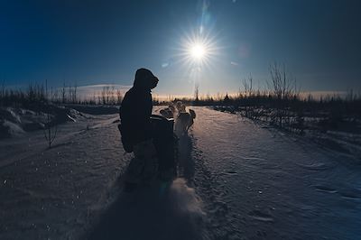 Traîneau à chiens dans les forêts du Québec - Canada
