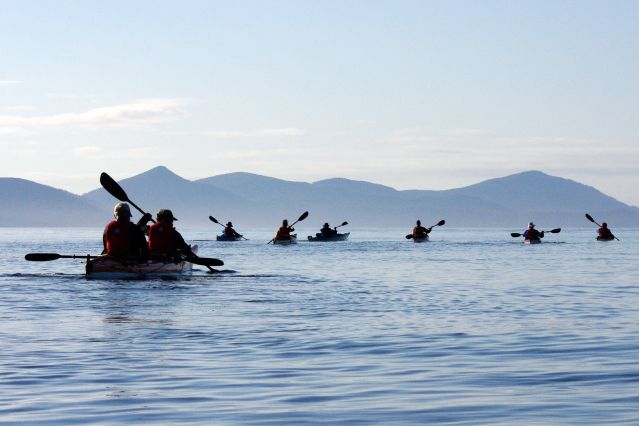 Voyage Kayak et baleines de l'île de Vancouver