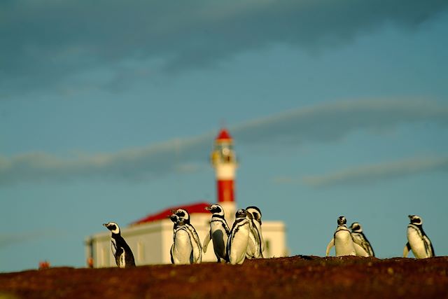 Voyage Détroit de Magellan et Cap Horn 