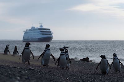 Cruceros Australis - Chili