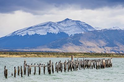 Puerto Natales - Chili