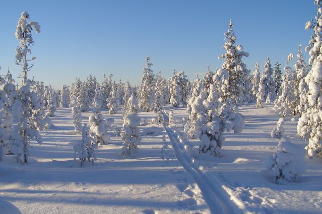 Voyage Raid en ski de fond en Laponie