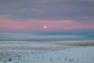 Hotel Javri Lodge - Saariselka - Laponie - Finlande