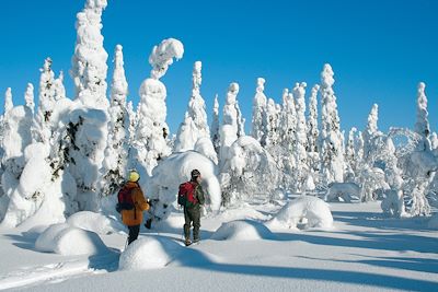 © Nature Point Paljakka - Laponie - Finlande Laponie - Finlande
